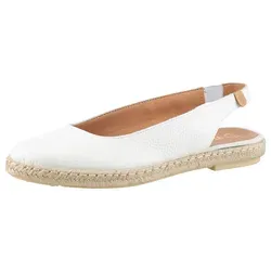 Slingsandale VERBENAS