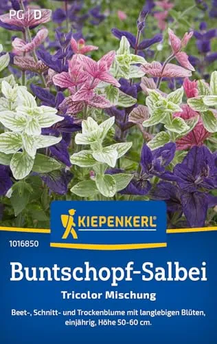 Kiepenkerl Buntschopf-Salbeisamen Tricolor Mischung 1016850 von Kiepenkerl