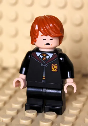 LEGO Harry Potter Trimagisches Turnier: Der Schwarze See von LEGO