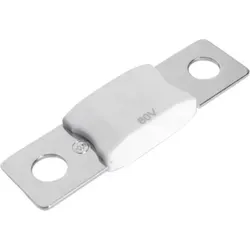 MEGA-Sicherung 100A/80V (Packung mit 1 Stück)