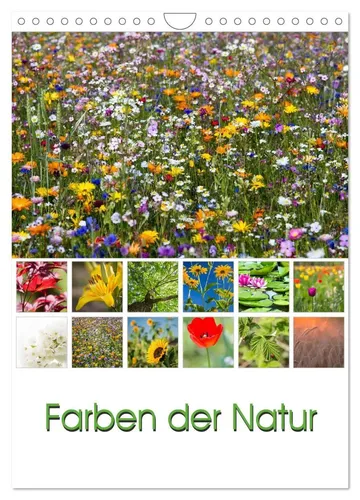 Farben der Natur (Wandkalender 2026) - Kalender mit 12 atemberaubenden Naturmotiven, gefertigt in Deutschland. Perfekt als Geschenk für jeden Anlass und bringt Farbe und Freude in Ihr Zuhause.