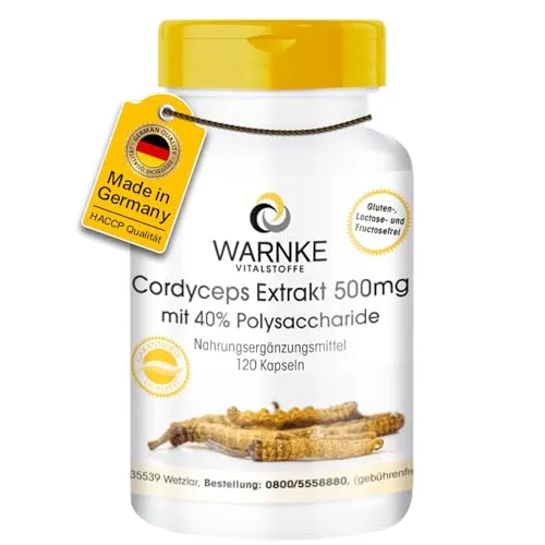 Cordyceps Extrakt 500 mg