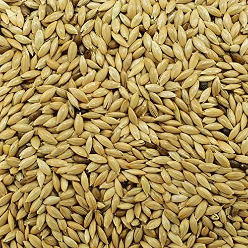 Kanariensaat - Gladen 2,5kg