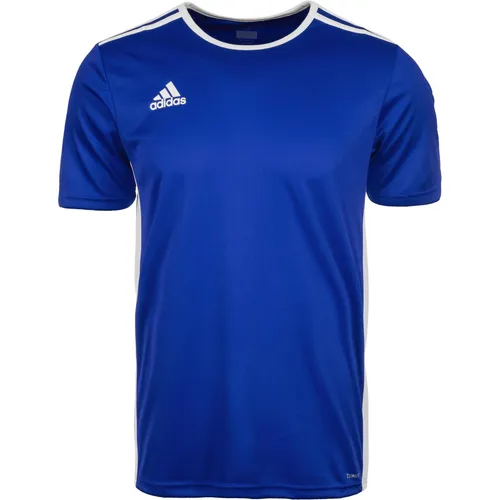 adidas Entrada 18 Fussball (M) (8660539)