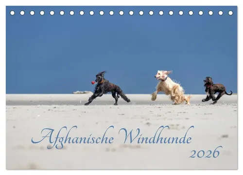 Annett Mirsberger annettmirsberger. de | AFGHANISCHE WINDHUNDE 2026...