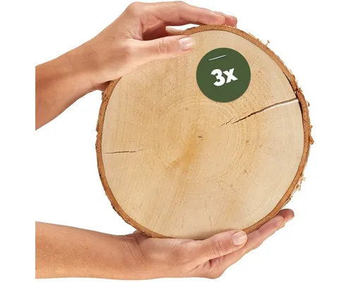 matches21 HOME & HOBBY Bastelnaturmaterial Baumscheiben Birke Holz-Platten Holzscheiben in 18 - 22 cm, (3-tlg), Echte EU Birkenscheiben für Basteln Esstisch Deko Tischdeko