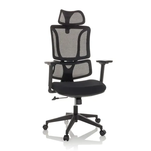 MyBuero Drehstuhl ERGOMY mit verstellbarer Lordosenstütze - Bürostuhl mit ergonomischem Design, verstellbarer Lordosenstütze und atmungsaktiver Netz-Rückenlehne für optimale Unterstützung und Komfort während der Arbeit.