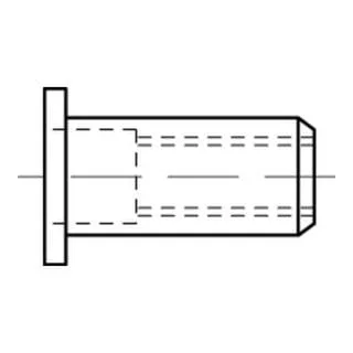 Blindnietmuttern Alu-Legierung Flachkopf M 6 / 3,0 - 5,5 S - 250 Stück - Blindnietmutter aus Aluminium mit Flachkopf, ideal für leichte Bauteile und eine schnelle Montage. Lieferumfang: 250 Stück.