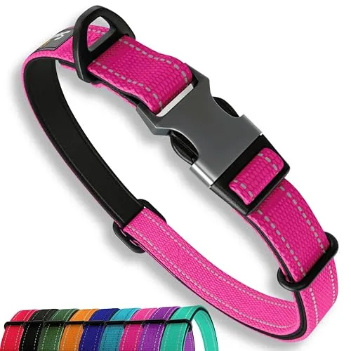 Sweetie gepolstertes Hundehalsband M rosa Neopren reflektierend