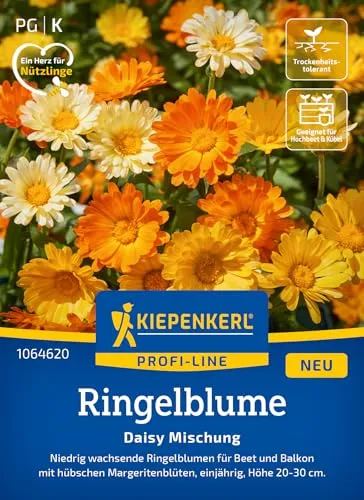 Kiepenkerl Profi-Line Ringelblumensamen Daisy Mischung 1064620 • Niedrig wachsende Ringelblumenpflanzen für Beet und Balkon - Wildblumensamen, Blumenwiese