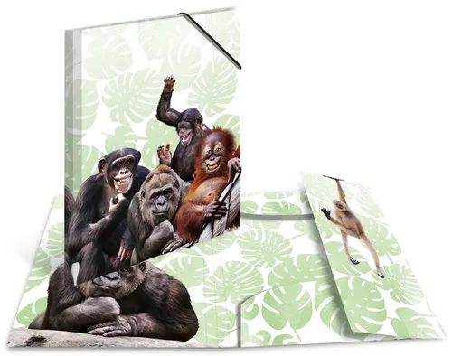 HERMA Eckspannermappe Exotische Tiere A4 Affenbande