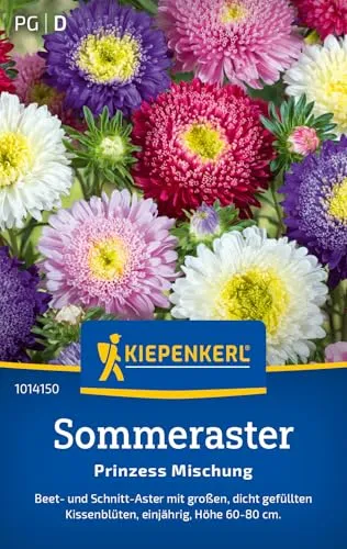 Kiepenkerl Sommerastersamen Prinzess Mischung 1014150 von Kiepenkerl