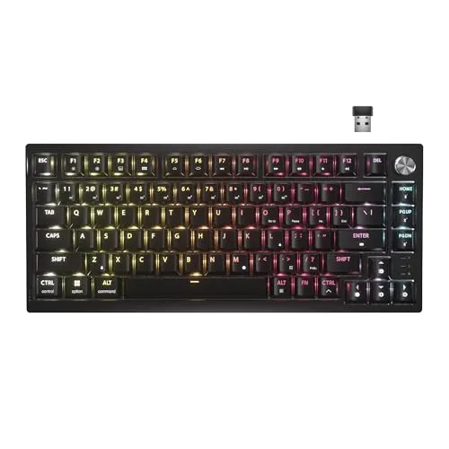 CORSAIR K65 Plus Wireless 75% Gaming Tastatur - Kabellose 75%-Gaming-Tastatur mit RGB, Hot-Swap Corsair MLX Fusion Schaltern und bis zu 266 Stunden Akkulaufzeit - ideal für Gamer, die Leistung und Stil suchen.
