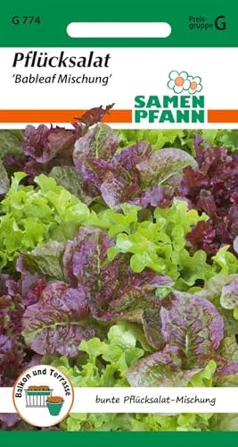 SAMEN PFANN Pflücksalat, Baby Leaf Mischung - Gemüse-Samen Saatgut Salat-Samen (Lactuca sativa)