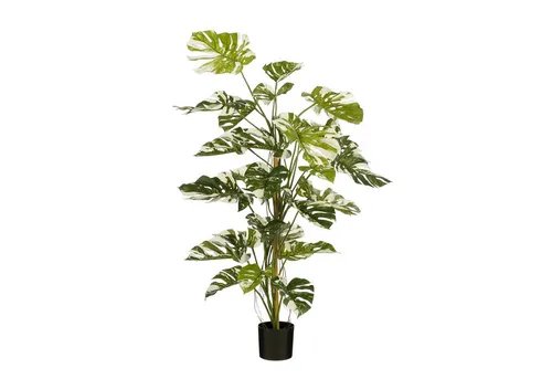 Mica Decorations Kunstpflanze Monstera Baum - 140 cm hoch - Verleihen Sie Ihrem Raum mit der Mica Decorations Monstera Kunstpflanze einen Hauch von Natur! Pflegeleicht, wasser- und UV-beständig, ideal für Innen- und Außenbereich. Höhe: 140 cm, Durchmesser: 120 cm, im schwarzen Kunststofftopf.