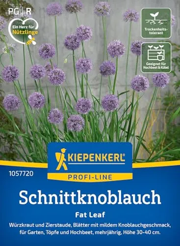Kiepenkerl Profi-Line Schnittknoblauchsamen Fat Leaf 1057720 – Würzkraut- und Zierstaude mit Knoblauchgeschmack - Pflanzen Samen, Saatgut, Kräutersamen