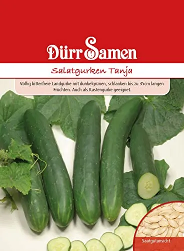 Salatgurken Samen Tanja Grüne Gurke Gurkensamen Saatgut ca 50 Korn Garten Hochbeet Kübel Dürr Samen