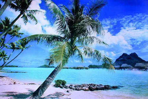 Insel Bora Bora Poster Strand 91,5 x 61 cm von Close Up