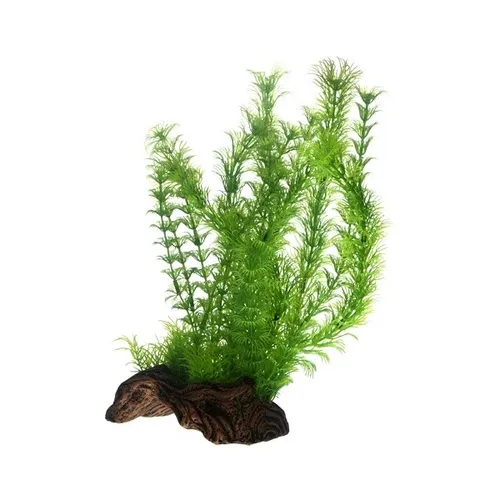 Hobby Flora Root 3, L 30 cm Aquarienwurzel mit Pflanzen Aquarienpflanzen