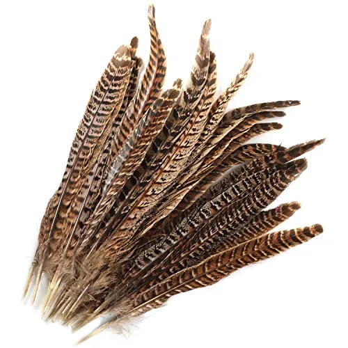 MWOOT 20 stück Fasan Federn, 25-30cm/ 10-12 Zoll Länge Fasan Schwanzfedern, Hutfeder, Natural Craft Feather