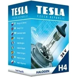 Tesla Glühlampe, Fernscheinwerfer B10402 von Tesla