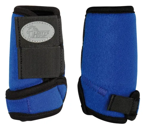 Harrys Horse Neoprengamaschen Tiny royal blau Shetty in blau von Harry's Horse