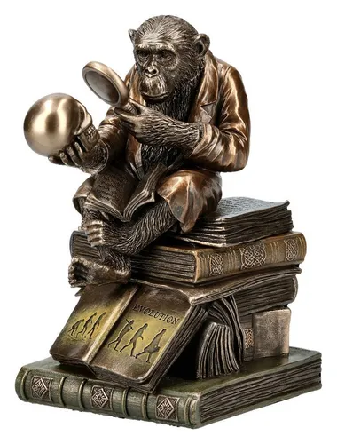 Figuren Shop GmbH Tierfigur Affe mit Schädel - Darwinismus Evolutionstheorie - Veronese Figur Box