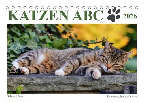 Katzen ABC Tischkalender 2026 – CALVENDO - Geschenkbücher mit 12 humorvollen Katzenbildern, nachhaltig produziert auf FSC-zertifiziertem Papier. Perfekt als Geschenk für Katzenliebhaber!