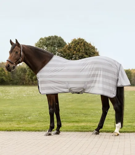 Waldhausen Fliegendecke Economic mit Kreuzbegurtung, 115 cm - Leichte Fliegendecke für Pferde, schützt effektiv vor Mücken und Fliegen. Ideal für Stall und Transport, mit verstellbarer Kreuzbegurtung und gefüttertem Brustbereich für höchsten Komfort.