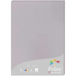 Pollen A4 210g/m2 Koalagrau 10x Packung in grau von Pollen