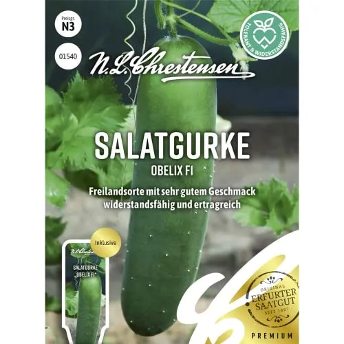 Salatgurke Obelix F1 Samen, Saatgut