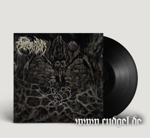 APPARITION - feel LP black