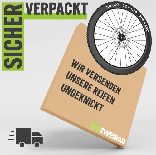 Schwalbe Fahrradreifen Smart Sam Plus DD HS624 28 Zoll 42-622 Draht GreenGuard schwarz + MSZweirad Reifenheber