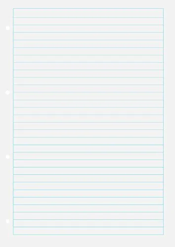 BRUNNEN Ringbucheinlage A4 lin mit RM 100Bl