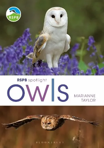 Marianne Taylor RSPB Spotlight Owls (Taschenbuch) RSPB