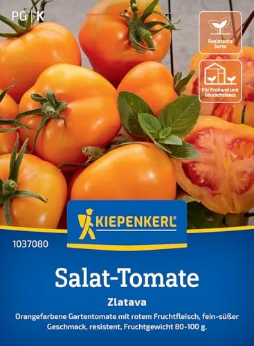 Kiepenkerl Salat-Tomatensamen Zlatava 1037080 - orangene Früchte - rotes Fruchtfleisch - süß - resistente Sorte - Saatgut, Samen Gemüse, Gemüsepflanzen