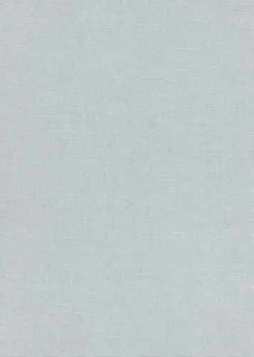 Erismann Tapete | Kollektion Casual Chic | 10262-31 | Vliestapete | Einfarbig | 0.53 x 10.05 m | Grau | Wohnzimmer | Flur | Büro | Küche | Wohnräume