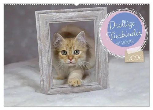 Wiebke von der Heyde | Drollige Tierkinder Mit Sprüchen (Wandkalender 2026...