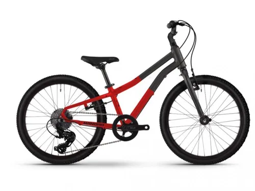 Winora Cityrad Rage 20