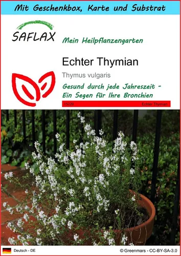 SAFLAX Blumensamen SAFLAX - Geschenkset - Echter Thymian