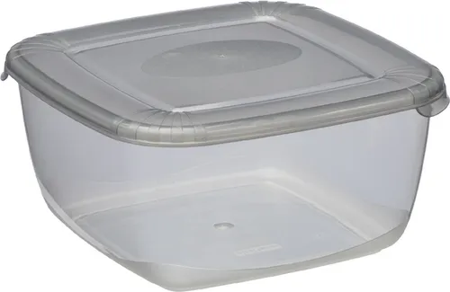 plast team Gefrierdose Polar 2,5 Liter grau quadratisch
