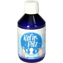 KEFIR Pilz zur Bereitung aus Milch 1 St