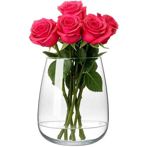 KONZEPT – Glasvase groß (23 cm hoch, Ø 19 cm) – transparentes, hochwertiges Glas, Stabiler Boden – Blumenvase ideal für Dekorationen, für frische, künstliche & getrocknete Blumen