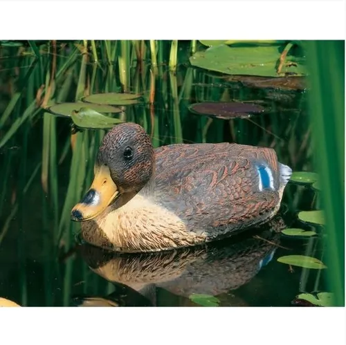 Heissner Schwimmente 