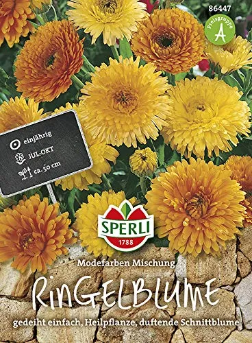 Ringelblumen Modefarben Mischung von Sperli-Samen