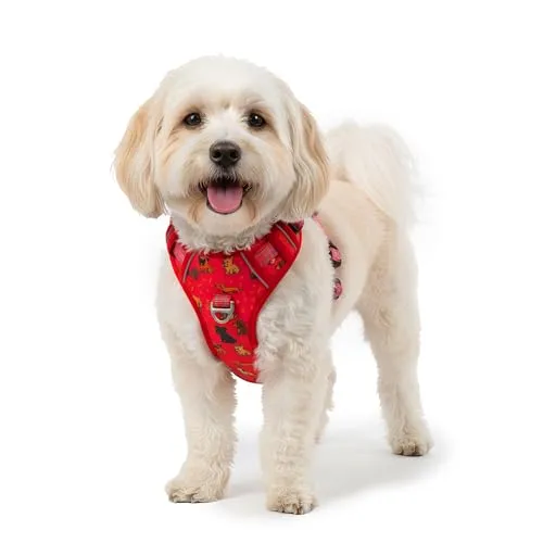 Reichstadt Pets Hundegeschirr – Verstellbares No-Pull Geschirr mit Griff & Reflektoren | Atmungsaktiv, Gepolstert & Strapazierfähig | Sicherheitsgeschirr für Kleine Hunde 25RSP083 Puppy Love Red S