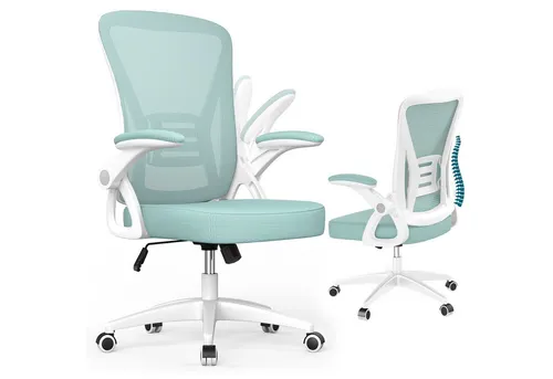BIGZZIA Ergonomischer Bürostuhl mit klappbaren Armlehnen - Bürostuhl mit höhenverstellbarer Lordosenstütze, ideal für langes Sitzen und optimale Körperhaltung. Perfekt für alle Bodenarten.