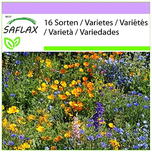 SAFLAX von Saflax