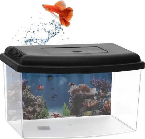GarPet Mini Aquarium Terrarium Faunarium Zucht Becken klein von GarPet