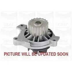 Graf Wasserpumpe PA662